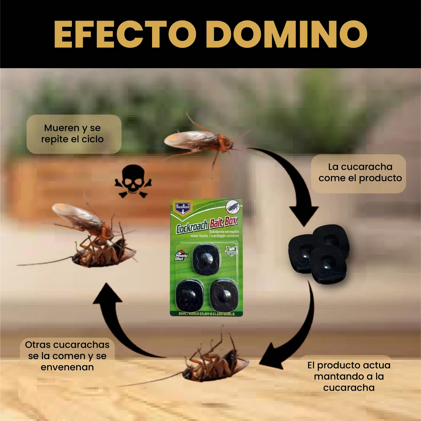 DEJA DE VERLAS EN 24H - MÉTODO EFICIENTE