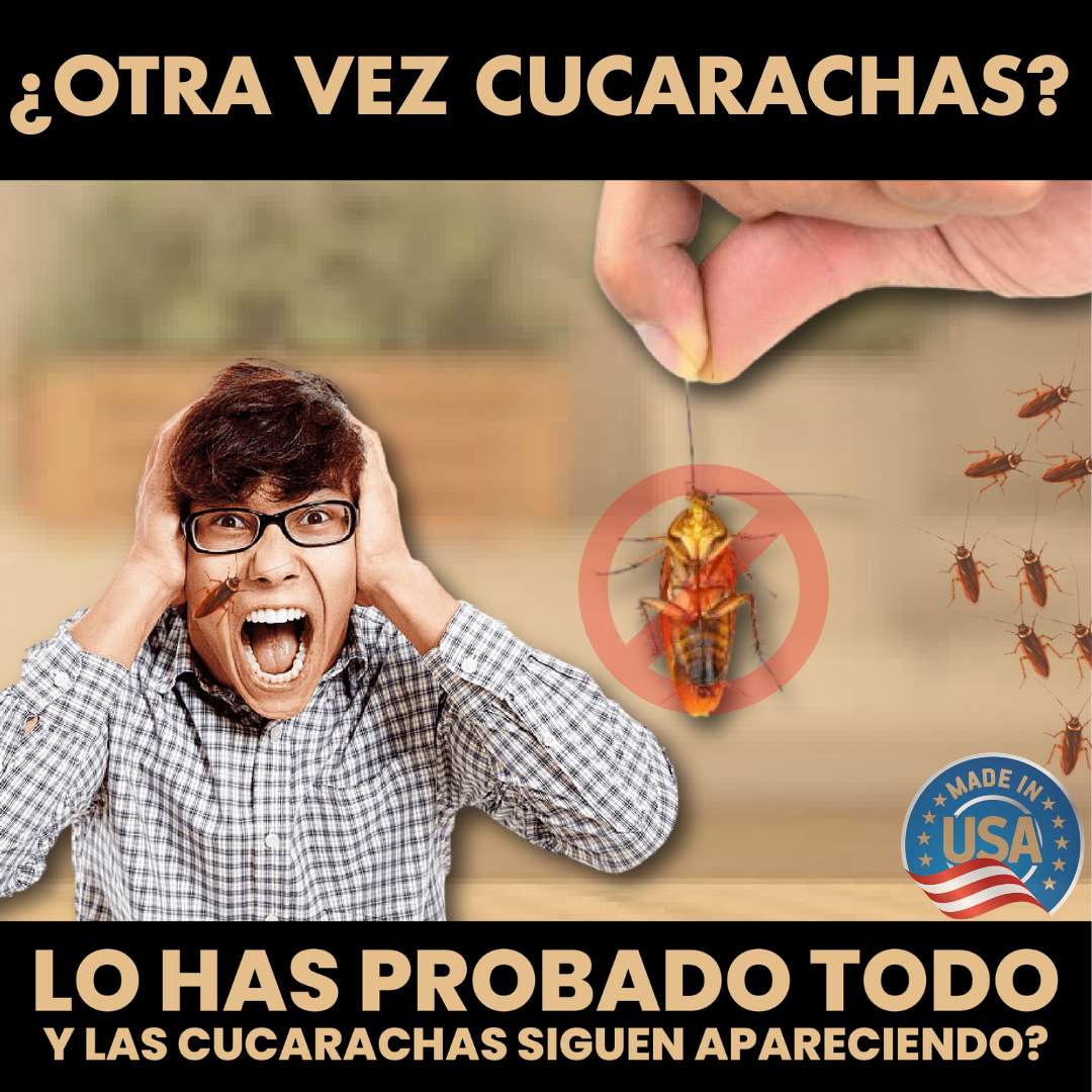 DEJA DE VERLAS EN 24H - MÉTODO EFICIENTE
