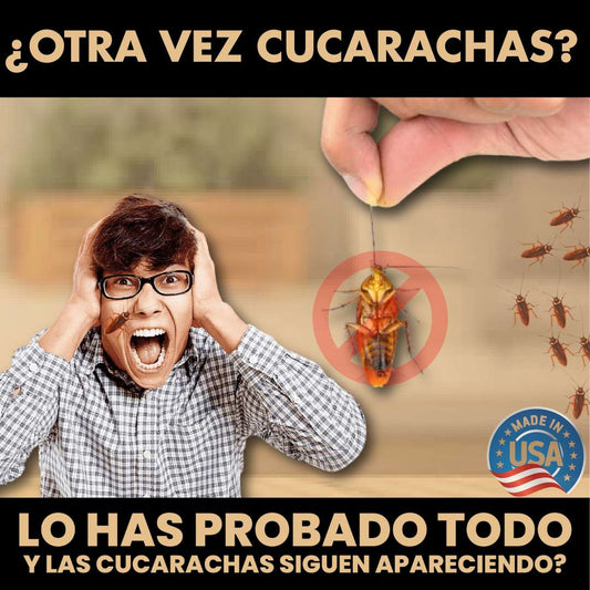 DEJA DE VERLAS EN 24H - MÉTODO EFICIENTE